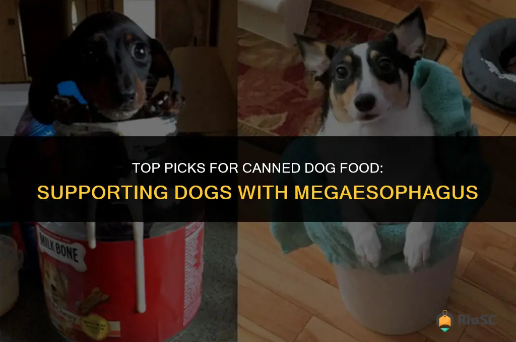 best canned dog food for dogs with megaesophagus