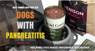 Top Picks for Tummy-Friendly Canned Dog Food: Soothing Options for Dogs with Pancreatitis