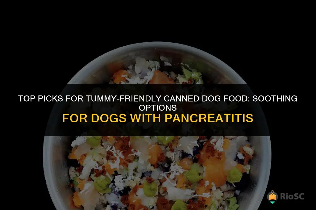 best canned dog food for dogs with pancreatitis