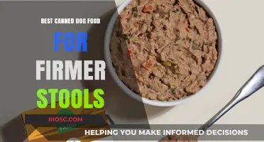 Top Picks for Canned Dog Food to Support Digestive Health and Firmer Stools