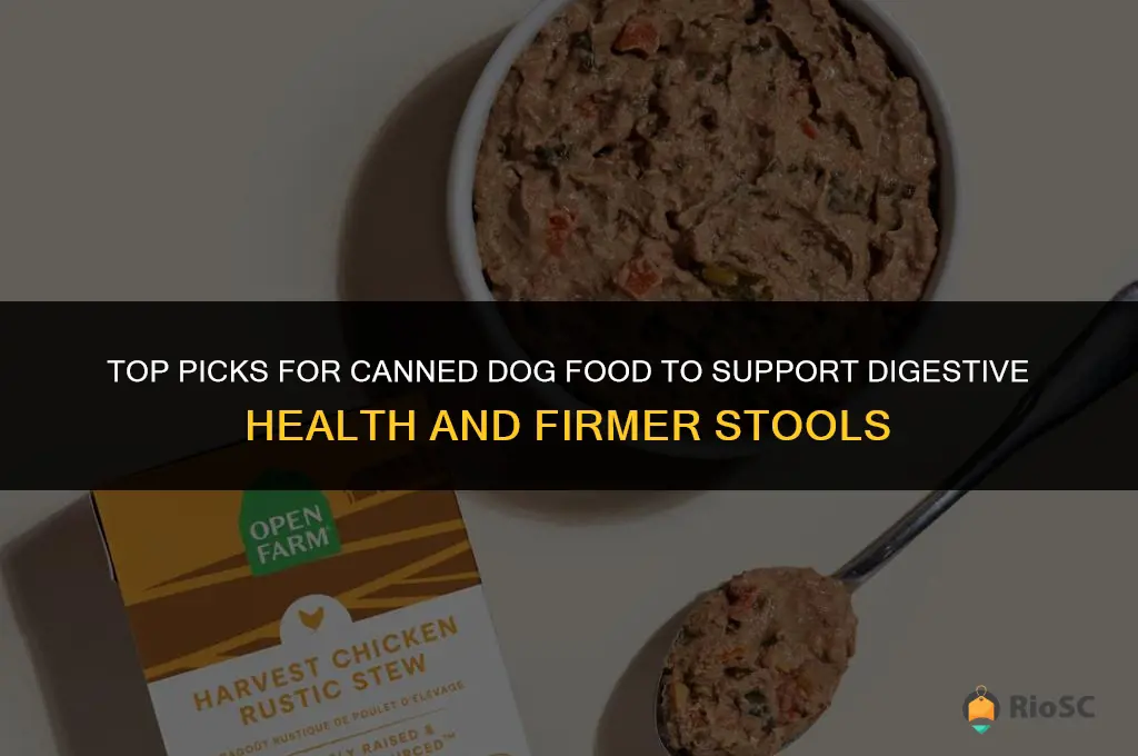 best canned dog food for firmer stools