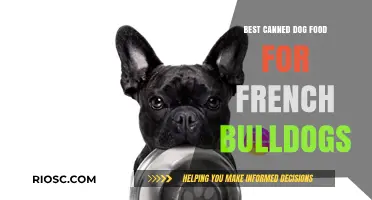 Top-Rated Canned Dog Food Options for French Bulldogs: A Comprehensive Guide