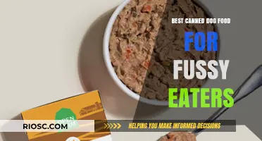 Top Picks for Picky Pooches: The Best Canned Dog Food for Fussy Eaters