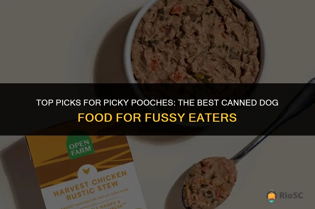 best canned dog food for fussy eaters