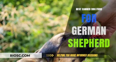 Top Picks for Your German Shepherd: The Best Canned Dog Food Options
