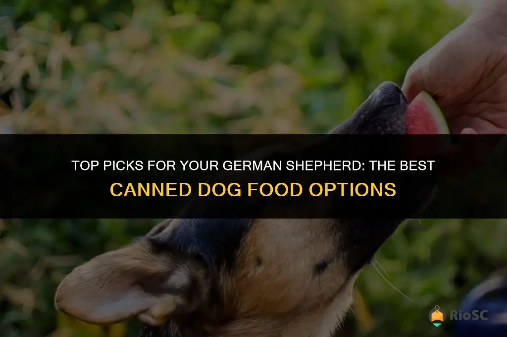 best canned dog food for german shepherd