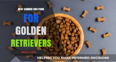 Top-Rated Canned Dog Food Options for Golden Retrievers: A Comprehensive Guide