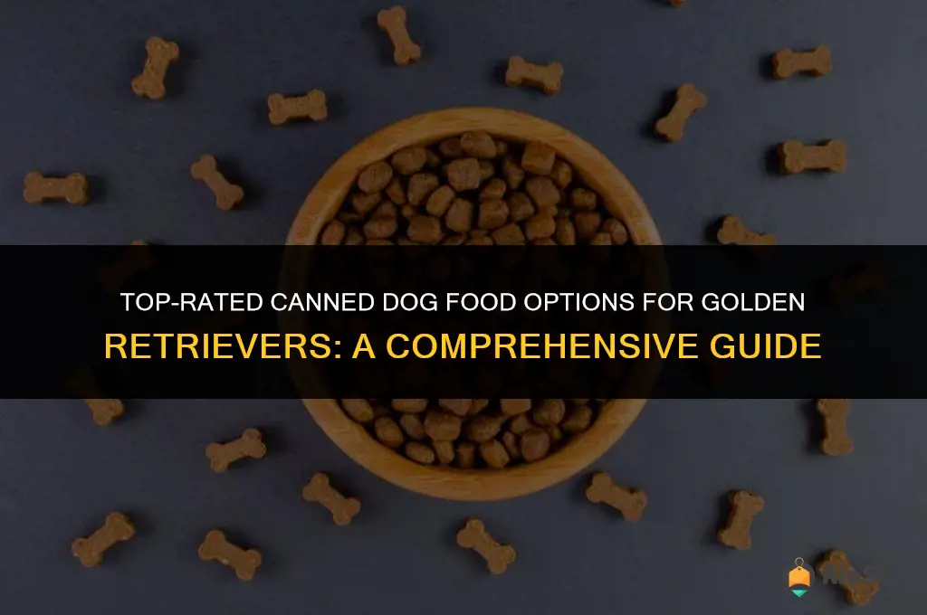 best canned dog food for golden retrievers