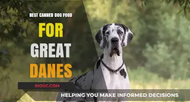Top-Rated Canned Dog Food Options for Great Danes: A Comprehensive Guide