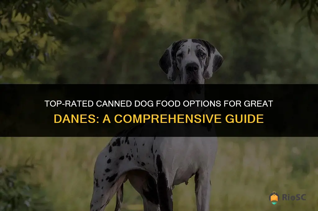 best canned dog food for great danes