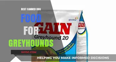 Top Picks for Your Speedy Companion: The Best Canned Dog Food for Greyhounds