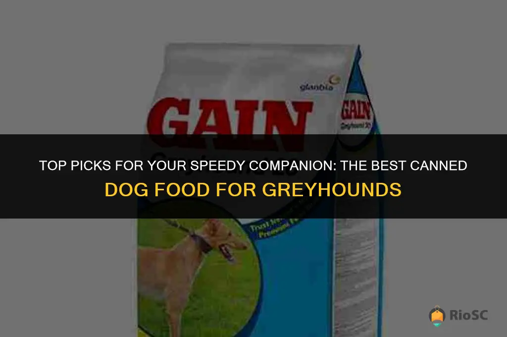 best canned dog food for greyhounds
