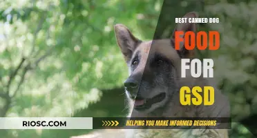 Top Picks for Your German Shepherd: The Best Canned Dog Food Options