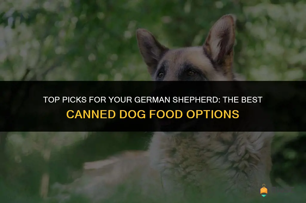 best canned dog food for gsd