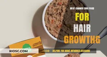 Nourishing Coats: Top Canned Dog Foods for Healthy Hair Growth