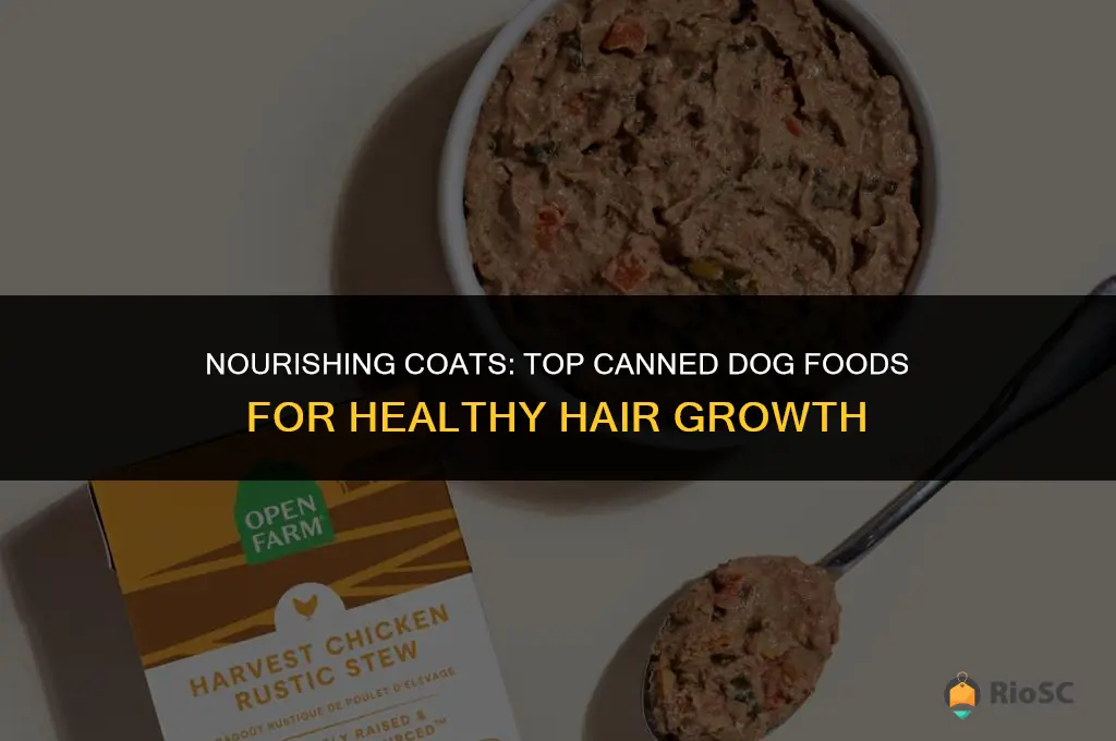 best canned dog food for hair growthg
