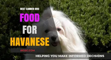 Top Picks for Your Havanese: The Best Canned Dog Foods