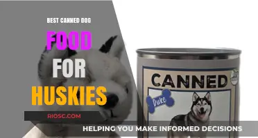 Top Picks: Premium Canned Dog Food for Your Husky's Nutritional Needs