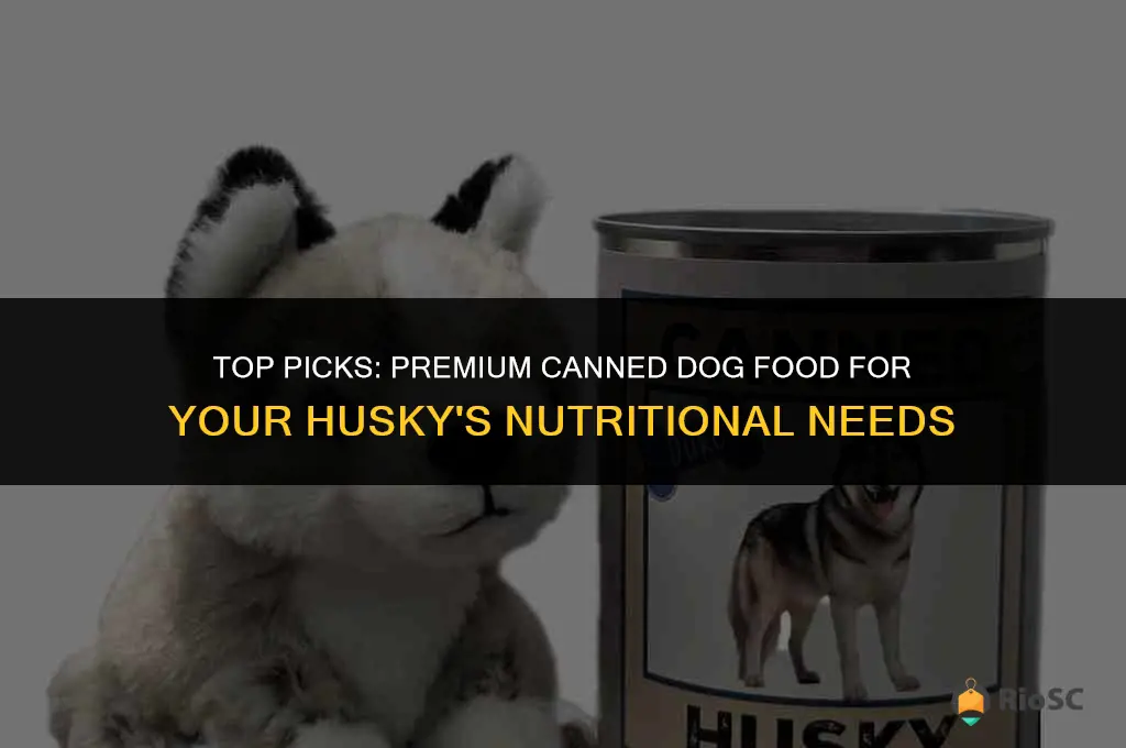 best canned dog food for huskies