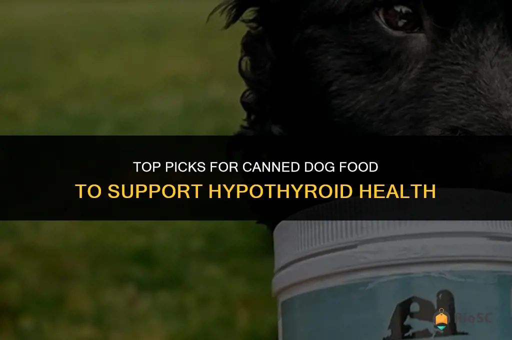 best canned dog food for hypothyroidism