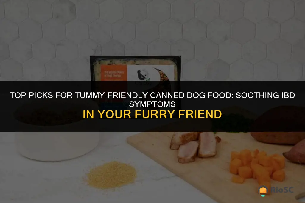 best canned dog food for ibd