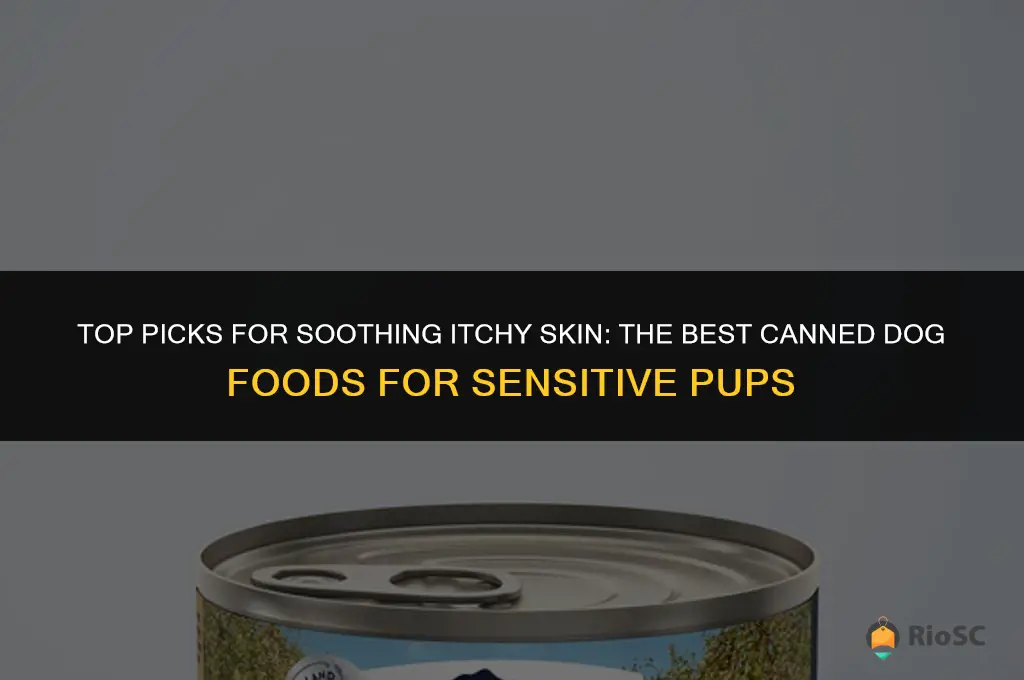 best canned dog food for itchy skin