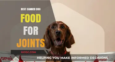 Top Picks for Joint-Friendly Canned Dog Food: Nourishing Your Pet's Mobility