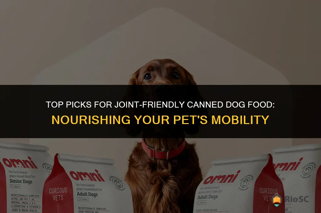 best canned dog food for joints