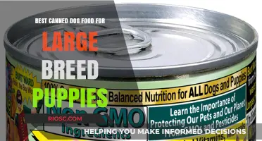Top Picks for Large Breed Puppies: The Best Canned Dog Food Options