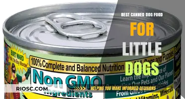Top Picks for Tiny Tummies: The Best Canned Dog Food for Little Dogs