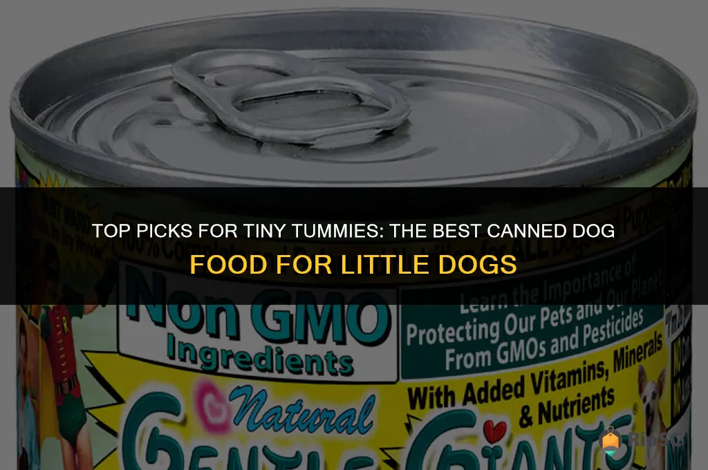 best canned dog food for little dogs