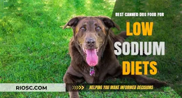 Top Picks for Low-Sodium Canned Dog Food: A Guide to Healthy Eating for Your Furry Friend
