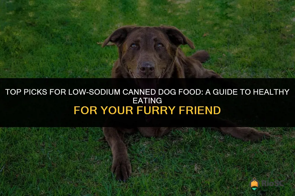 best canned dog food for low sodium diets