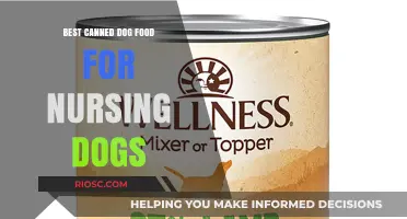 Top Picks for Nursing Dogs: The Best Canned Dog Food to Support Their Health and Nutrition