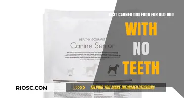 Nutritious and Easy-to-Chew: Top Canned Dog Food Picks for Senior Dogs Without Teeth