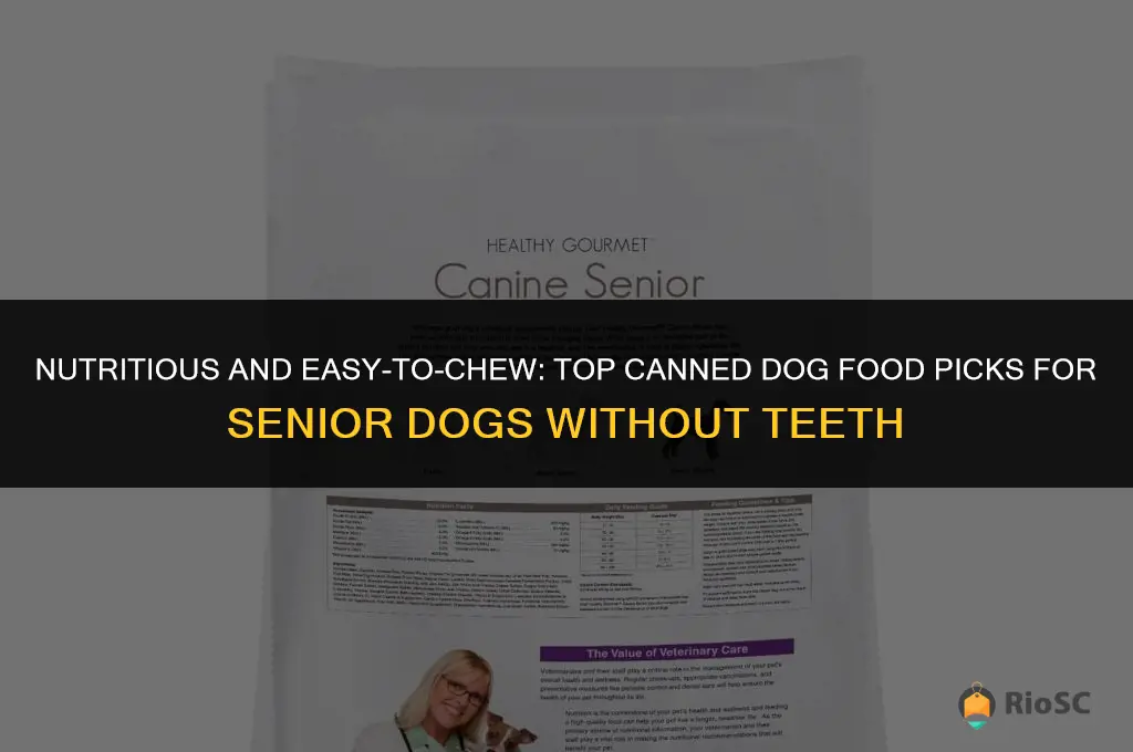 best canned dog food for old dog with no teeth