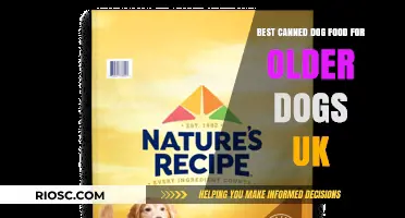 Top Picks for Senior Dogs: The Best Canned Dog Food Options in the UK