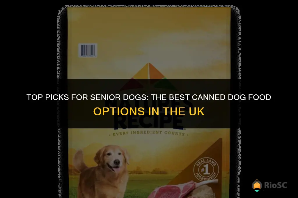 best canned dog food for older dogs uk