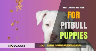 Nourishing Growth: Top Canned Dog Food Picks for Pitbull Puppies