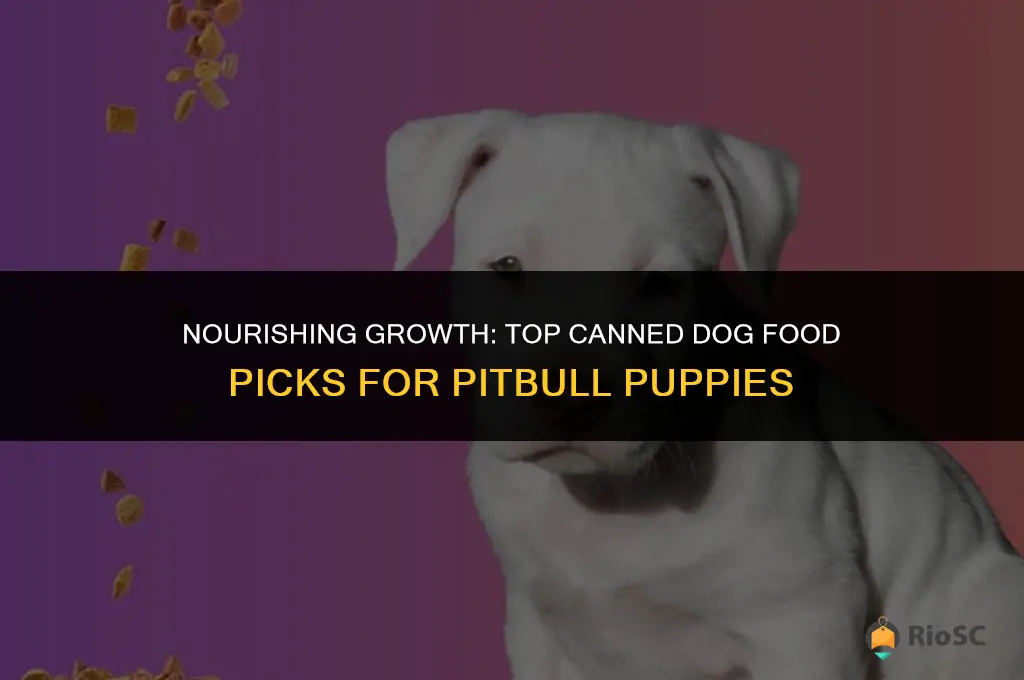 best canned dog food for pitbull puppies