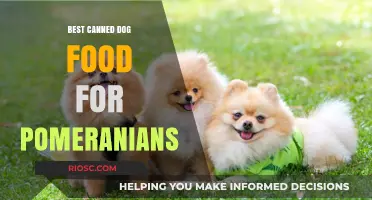 Top Picks: Premium Canned Dog Food for Your Pomeranian's Health and Happiness