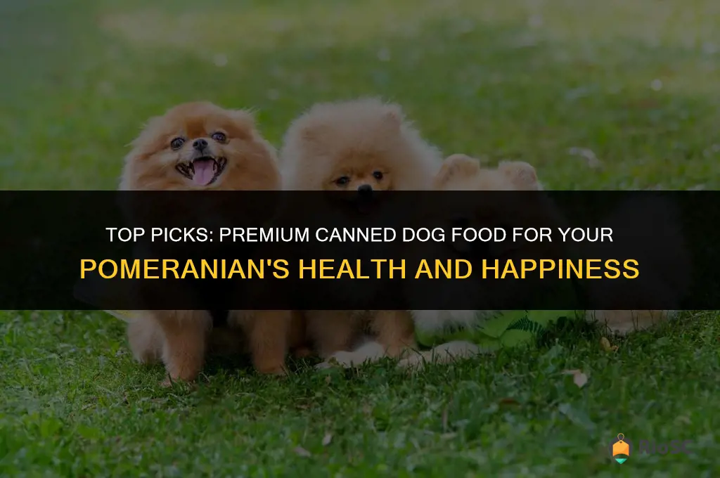best canned dog food for pomeranians