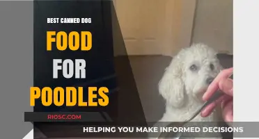 Top-Rated Canned Dog Food Options for Poodles: A Comprehensive Guide