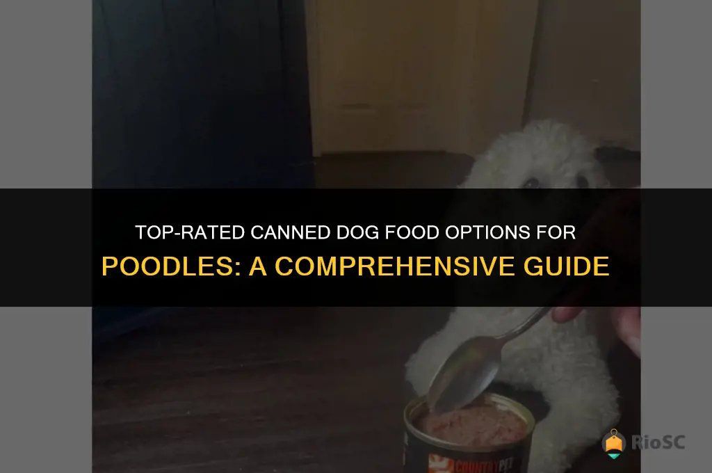 best canned dog food for poodles