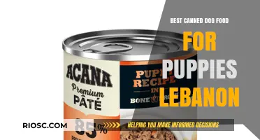 Top-Rated Canned Dog Food for Puppies in Lebanon: A Comprehensive Guide