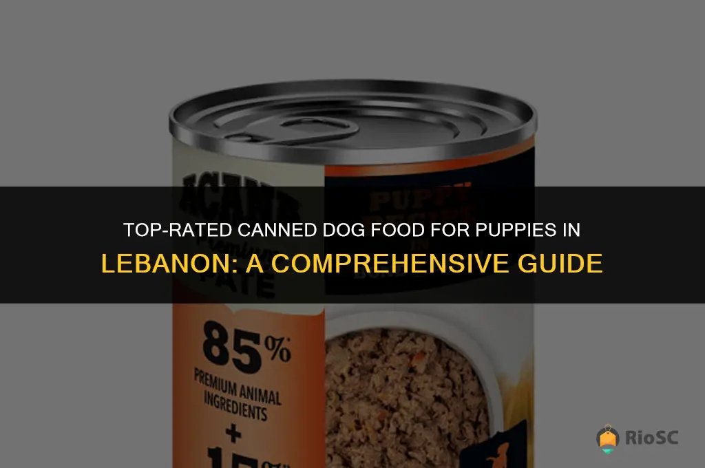 best canned dog food for puppies lebanon