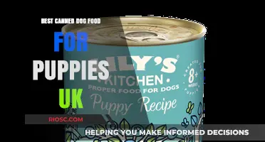Top Picks for Your Furry Friend: The Best Canned Dog Food for Puppies in the UK