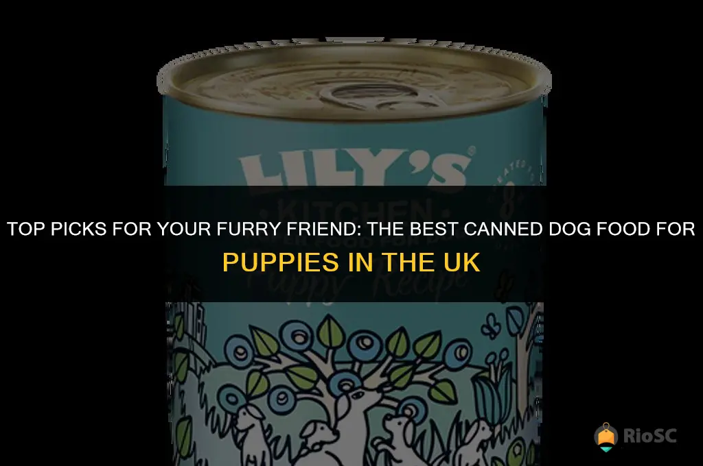 best canned dog food for puppies uk