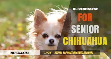 Top Picks for Senior Chihuahuas: The Best Canned Dog Food Options