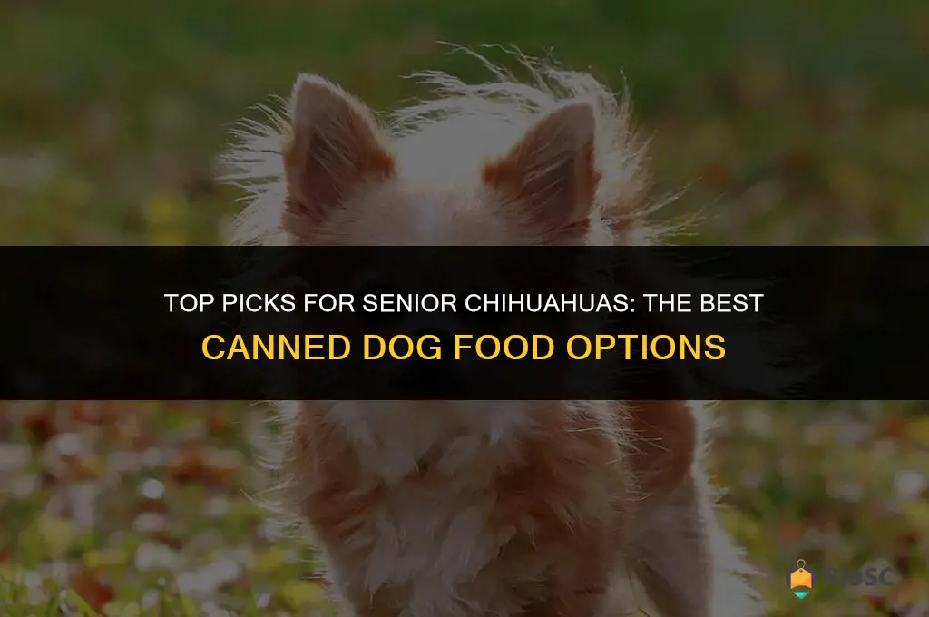 best canned dog food for senior chihuahua
